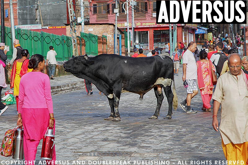 Kathmandu. Nepal