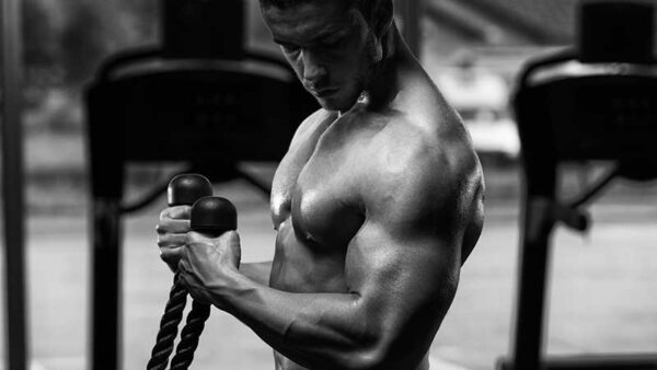 Zo train je je biceps groot en sexy