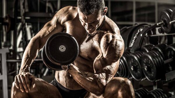 Tips voor het trainen van de biceps voor beginners